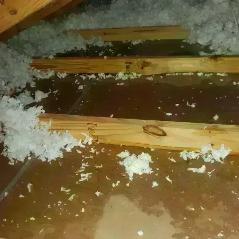 Attic Water Damage in Raymore, MO