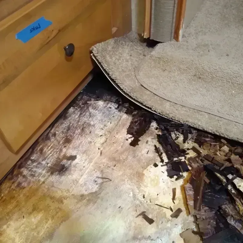 Best Wood Floor Water Damage Service in Raymore, MO